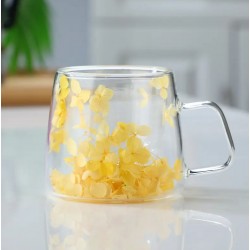 Borosilicate Glass Cup with Handle (Random Color) Home DND-PID54